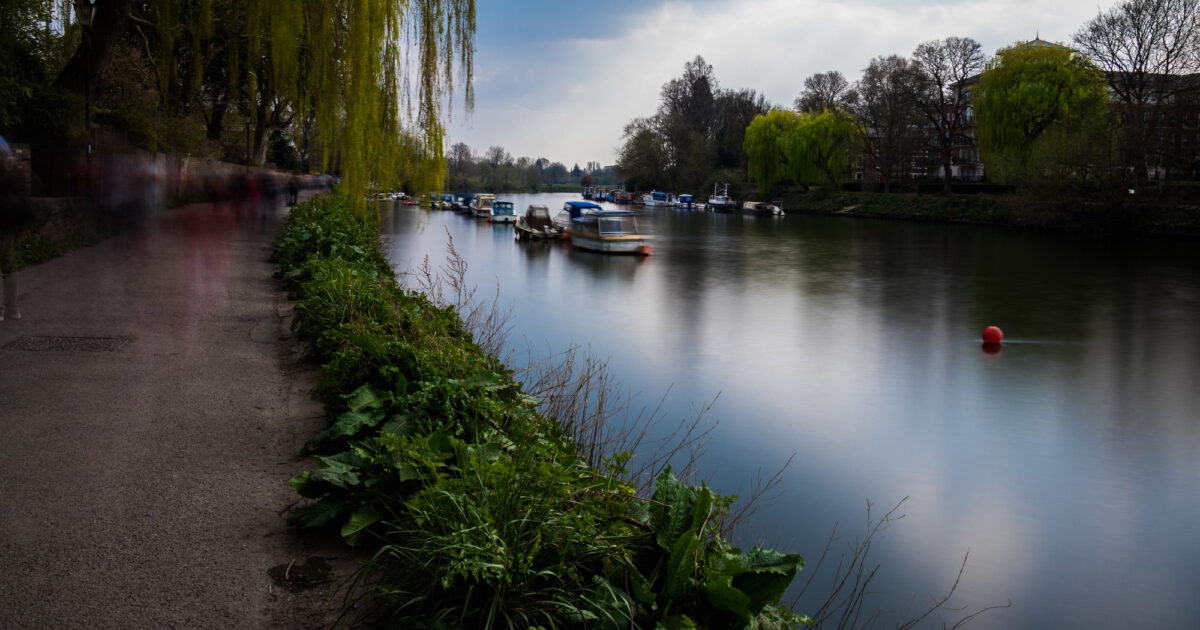Pays de la Loire : les associations qui transforment le quotidien en 2026